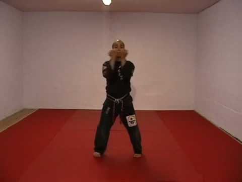 CASA DE KENPO - AMERICAN KENPO - LONG FORM 3
