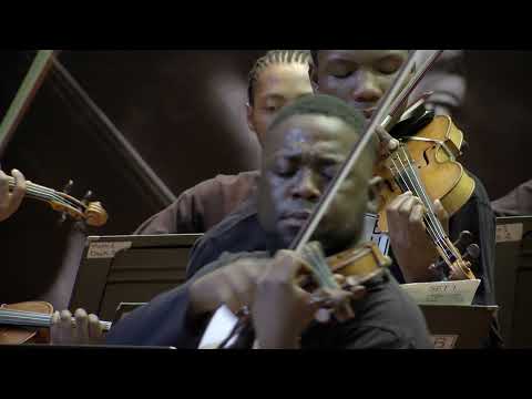 Buskaid: The Lark Ascending - Vaughan Williams