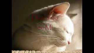 ♪Tu Sueño Cuidaré♪ - Marcos Barrientos