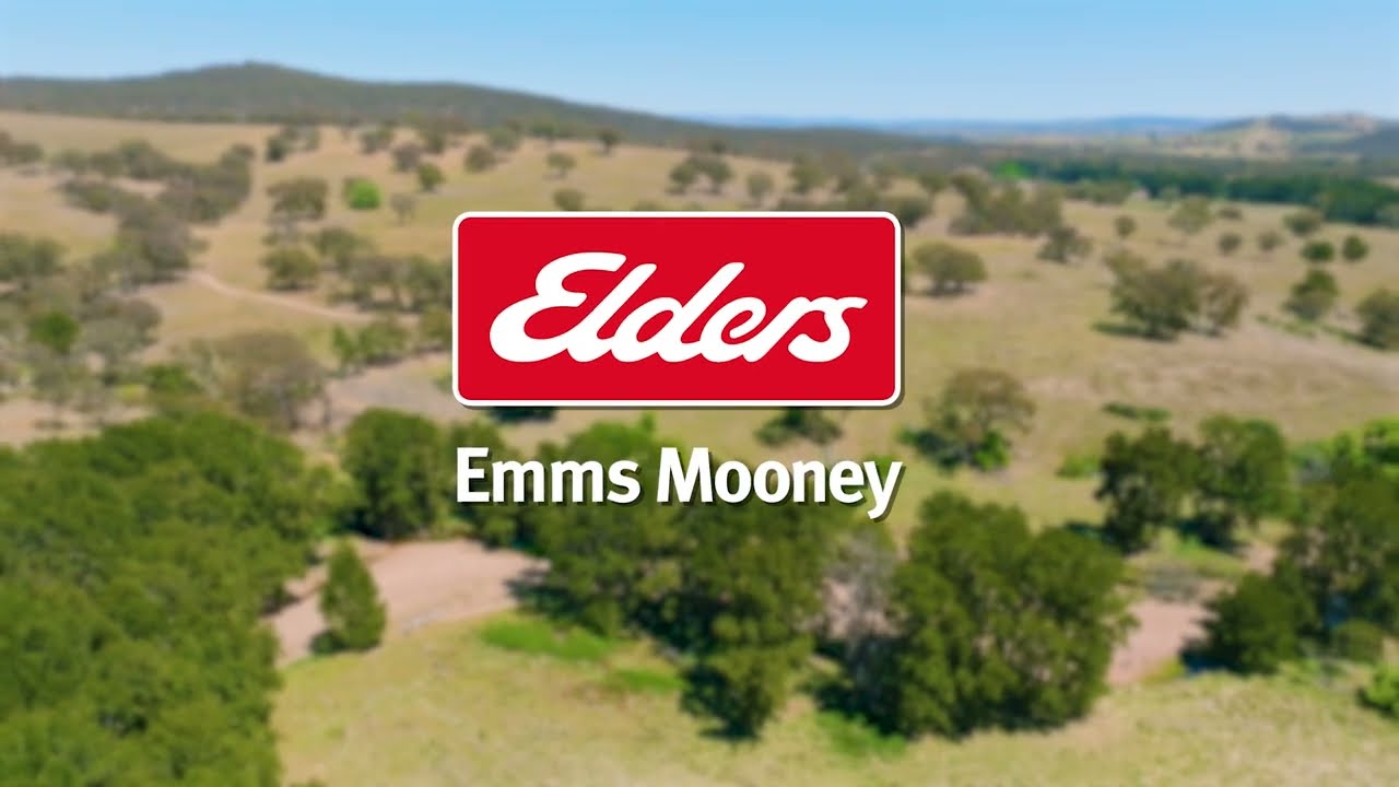 127 Winburndale Dam Road, Napoleon Reef, NSW, 2795 Sold Elders Real