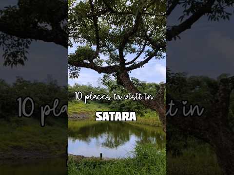 10 places to visit in Satara 💚🍂 #satara #maharashtra #thoseghar #kaasplateau #youtubeshorts #travel
