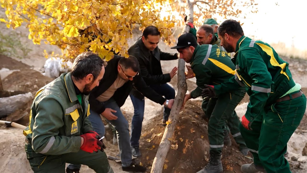 Պլանավորում ենք 250 հա անտառ տնկել Դալմայի հատվածում. Տիգրան Ավինյան