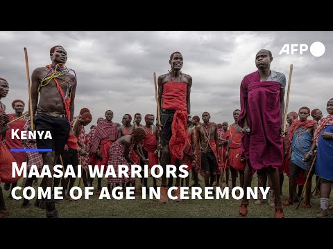 Maasai Warriors Rites of Passage