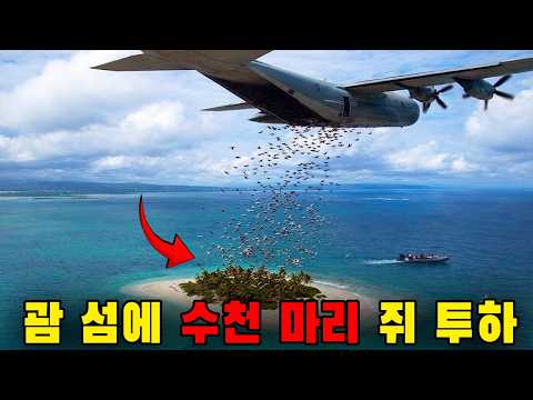 미국은 괌 섬에 수천 마리의 쥐를 하늘에서 떨어뜨렸다… 1년 후, 충격적인 일이 벌어졌다!