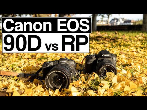 Canon EOS 90D vs EOS RP | die fast perfekte Kamera | Vergleich deutsch