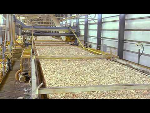 Journey to Quality - The Making of GP OSB Plant Tour