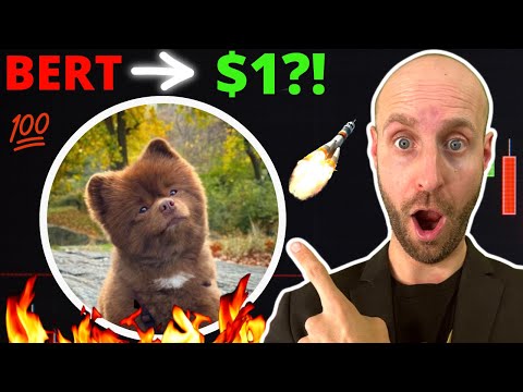 🔥I Bought 3050 Bertram The Pomeranian ($BERT) Crypto Coins at $.033 Today?! URGENT!!