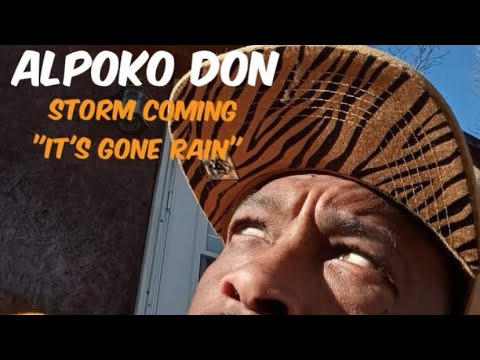 It’s Gone Rain | Alpoko Don (Dondada) 