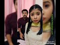 Toyar Fani Video Taigar Ko Kicine Nahei Ruksaktahe