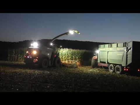 Die Raubkatze zurück im Mais   Claas Jaguar 970 Orbis 750 beim Maishäckseln   Lohnunternehmen Hannes