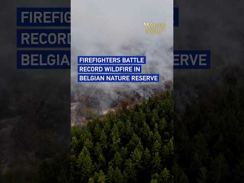 Firefighters battle record wildfire in Belgian nature reserve #worldnow