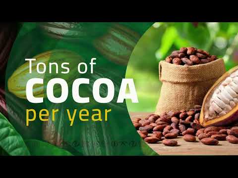 Motion graphics video 4 thumbnail