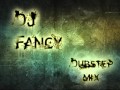 DJ Fancy--Dubstep Mix 