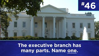 Q46: The executive branch has many parts. Name one.