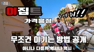 🇪🇬이집트 룩소르 80원짜리 미니버스 이용 해보기, 파격적인 마차 흥정하는 방법 공객