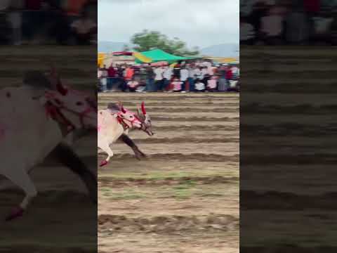 Pedgaon Hinadkesri maidan bakasur and lakhan gat pass