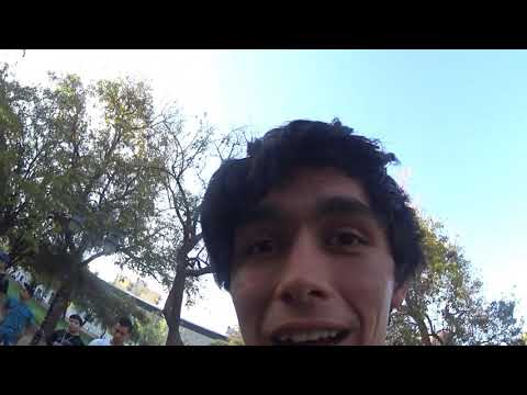 G - kross vs dannae vs tremor vs sicotico 8vos l alfa free battles l