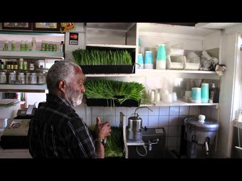 Inside Mr. Wisdom's Specialty Health Food Store