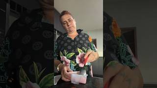 vamos comer Danone #lindaci #short