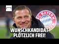 Endet die Trainersuche beim FC Bayern jetzt ganz schnell? 👀 | Bundesliga