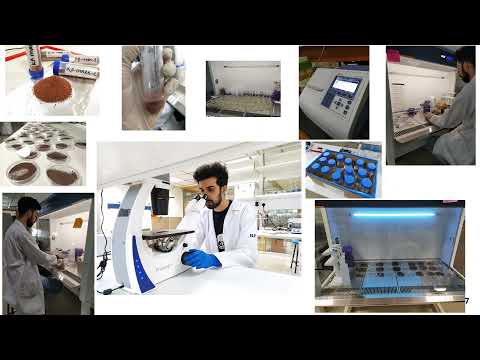 Nadeem, Mian Behzad, Flashtalk: Proliferation and Survival Analysis of Rhizosphere Soil Bacteria...