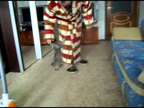 http://youtu.be/vwQe1OX6ZGM