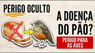 Miniatura do vídeo