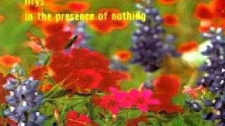 Lilys - It does nothing to me