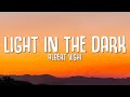 Alan Walker Style || Albert Vishi - Light In The Dark (Lyrics)