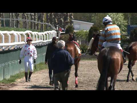 Se Malmös världsmästare i galopp