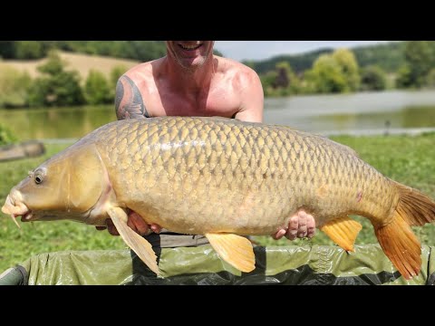 Venue videos photo 3