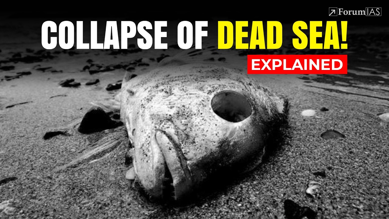 When the Dead Sea Dies – The Collapse of an Ancient Wonder! | FYI