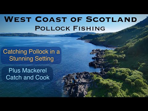 Sea Fishing Scotland - West Coast Pollock on Lures + Mackerel Catch & Cook
