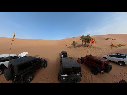 Reggie Tree Dune - 30072022