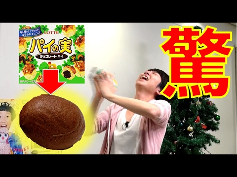 30分お菓子を振り続けると何かが起きるらしい…！【毎日19時！立石学園】