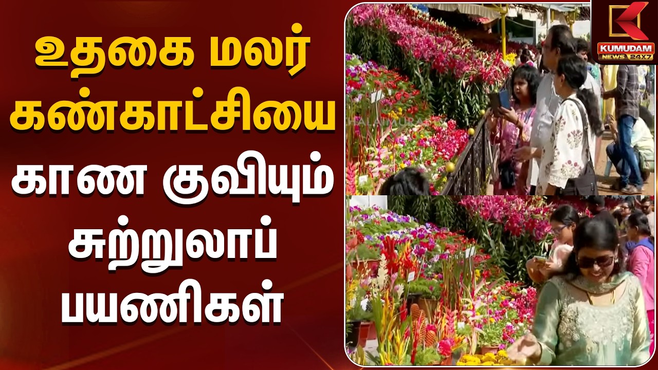 உதகை மலர் கண்காட்சியை காண குவியும் சுற்றுலாப்பயணிகள் | Ooty Flower Show | Ooty | Tourist உதகை மலர் கண்காட்சியை காண குவியும் சுற்றுலாப்பயணிகள் | Ooty Flower Show | Ooty | Tourist