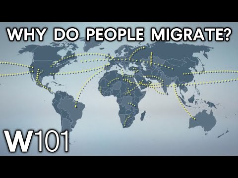 What's the Difference Between a Migrant and a Refugee? Migration Explained | World101
