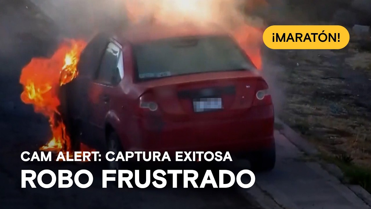 Cazados por el C5: robos, huidas y errores fatales en México 🛑 Cam Alert: Captura Exitosa ¡Maratón!
