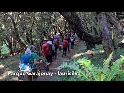 CHIPUDE - VALLEHERMOSO (La Gomera, 29 desembre 2018)