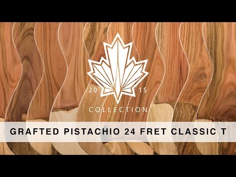 SUHR 2015 COLLECTION - GRAFTED PISTACHIO 24 FRET CLASSIC T