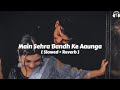 Main Sehra Bandh Ke Aaunga Slowed Reverb Song