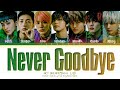 NCT Dream 'Never Goodbye' Lyrics (엔시티 드림 북극성 가사) (Color Coded Lyrics)