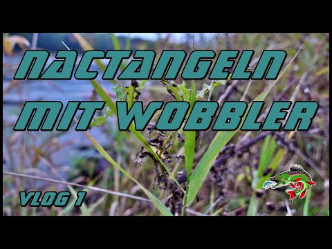 Nacht Angeln mit Wobbler Vlog 1