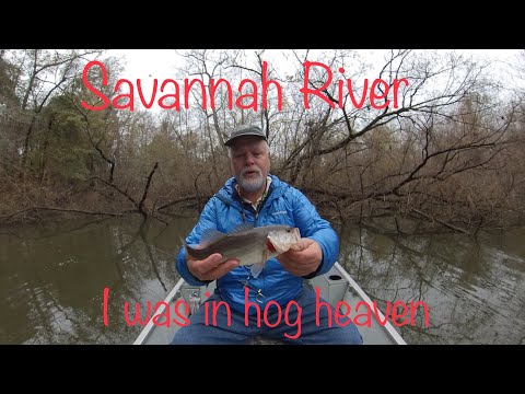 , title : 'Savannah River cut off #19-good fishing spot'
