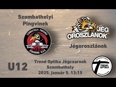 U12 Szombathelyi Pingvinek - Jégoroszlánok