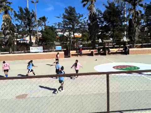 Futsal Femenil Halcones