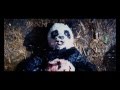 Panda Bear Attack - Tropic Thunder 