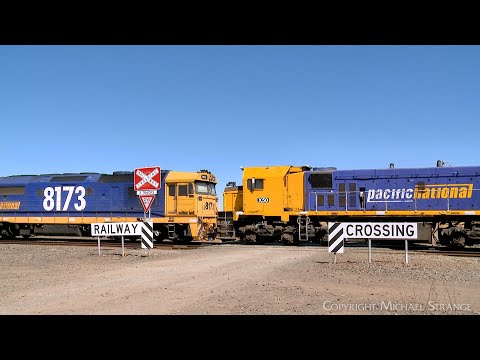 7733V Pacific National Standard Gauge Grain Train With X50 & VHAF Hoppers (1/3/2024) - PoathTV