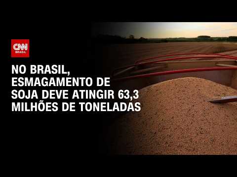 Esmagamento de soja no Brasil deve atingir 63,3 milhões de toneladas, diz ABIOVE | CNN AGRO NEWS