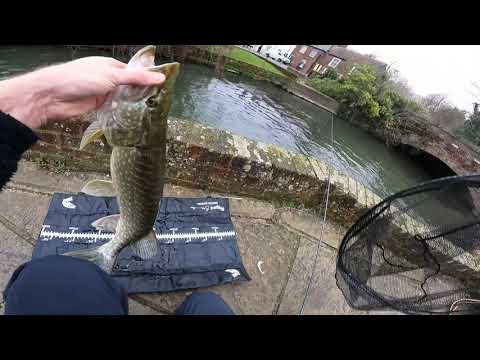 Urban Lure Fishing | Fishing for Perch and Pike in the City